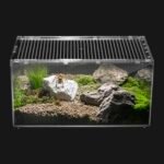 Terrarium for Hermit Crabs - comprehensive buying guide and reviews