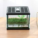 Terrarium for Pacman Frog - comprehensive buying guide and reviews