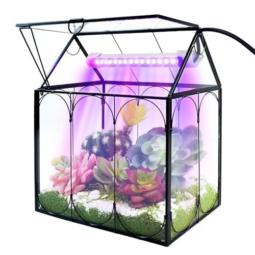 Terrarium for Venus Flytrap - comprehensive buying guide and reviews