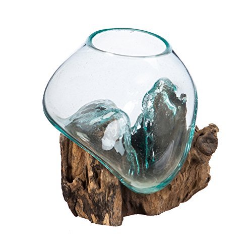 Terrarium Glass and Wood - comprehensive buying guide and reviews