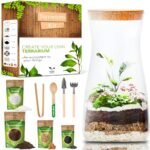 Terrarium Kit for Adults - comprehensive buying guide and reviews