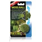 Terrarium Marimo Moss Ball - comprehensive buying guide and reviews