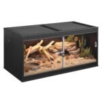 Terrarium Reptile for Sale - comprehensive buying guide and reviews