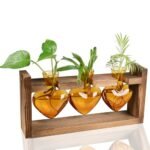 Vintage Terrarium for Sale - comprehensive buying guide and reviews