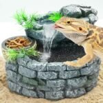 Water Feature in Terrarium - comprehensive buying guide and reviews