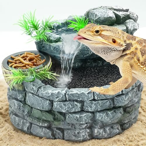 Water Feature in Terrarium - comprehensive buying guide and reviews