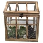 Wood and Glass Terrarium - comprehensive buying guide and reviews