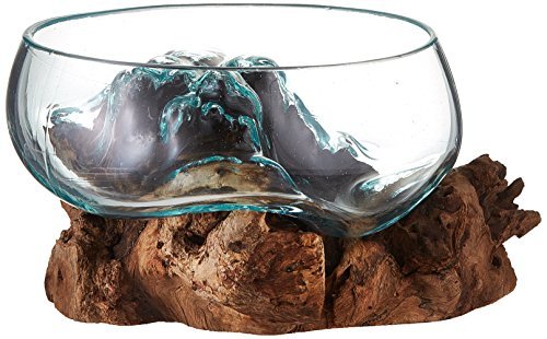 Cohasset Molten Glass | #658-20 | Wide Mouth Wood Terrarium