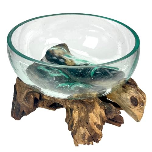 Molten Glass Bowl on Driftwood, 10 Inch Hand Blown...