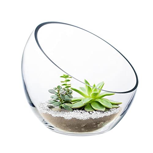 CYS EXCEL Glass Slant Cut Bubble Bowl Terrarium Vase