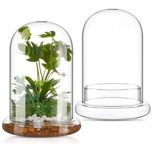 Perthlin 2 Pcs 5.9 x 7.9 Inch Glass Terrarium Domes