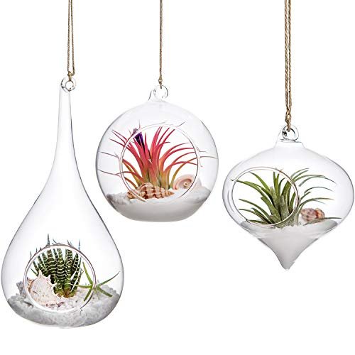 Mkono 3 Pack Glass Hanging Planter Air Plant Terrarium...