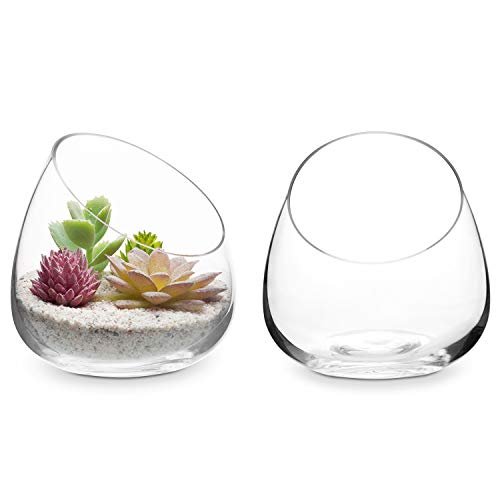 MyGift 5 Inch Premium Clear Glass Air Plant Terrarium Set