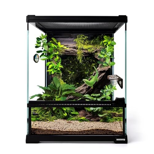 waazoorep Mini Reptile Glass Terrarium Tank 8