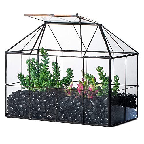 NCYP Glass Terrarium Planter with Lid for Small Succulent...
