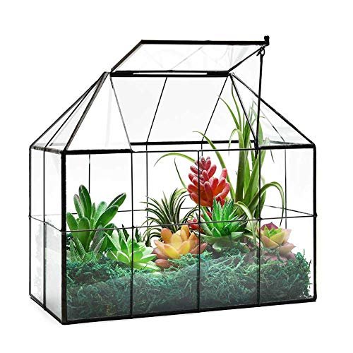 Large Glass Terrarium House Planter – Succulent Greenhouse...