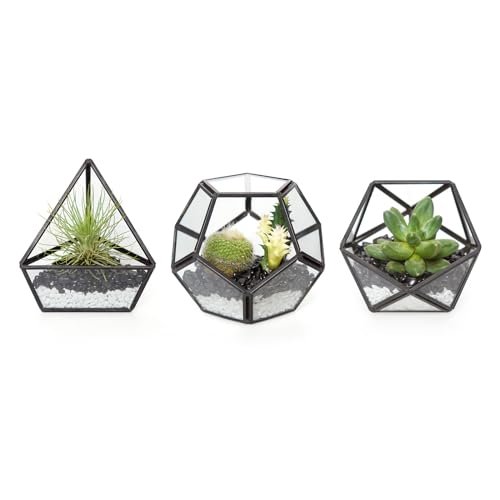 Mkono 4 Inches Mini Glass Geometric Terrarium Set of 3