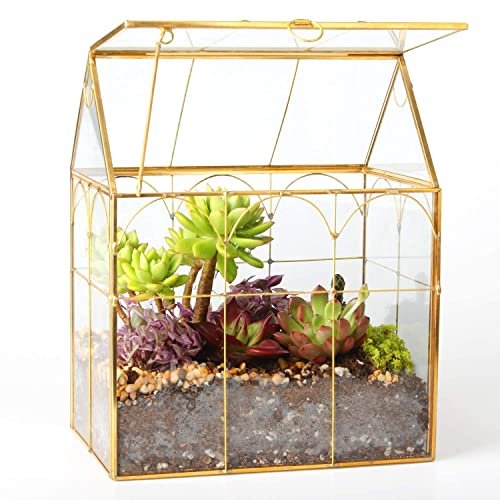 Glass Geometric Plant Terrarium,Succulent & Air Planter...