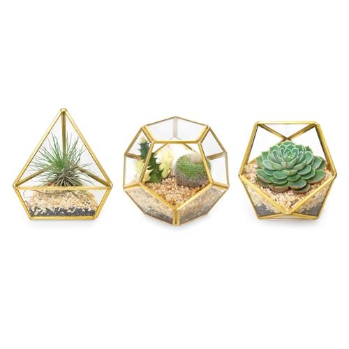 Mkono 4 Inches Mini Glass Geometric Terrarium Set of 3