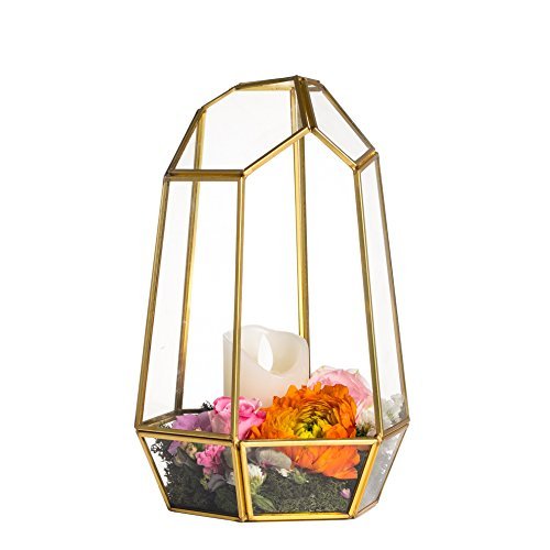NCYP Geometric Glass Terrarium - Irregular Brass Planter Pot