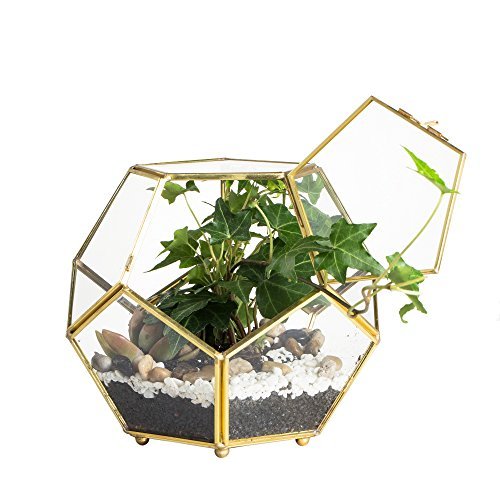 NCYP Glass Geometric Terrarium Planter with Door for...