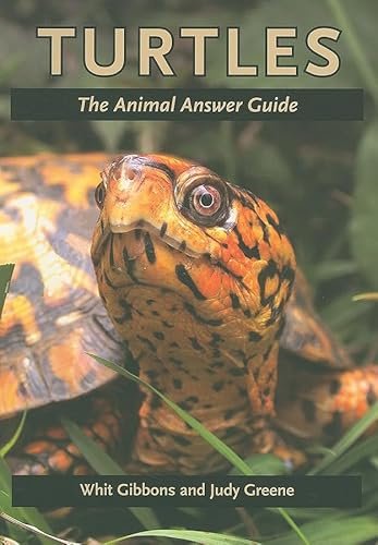 Turtles: The Animal Answer Guide (The Animal Answer Guides)