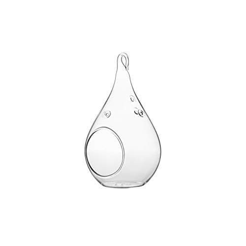 WGV Glass Hanging Plant Terrarium, Width 3