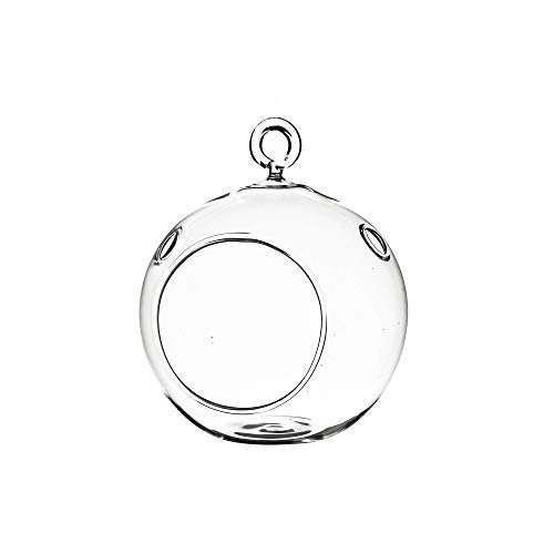 WGV Hanging Terrarium Globe, Width 3