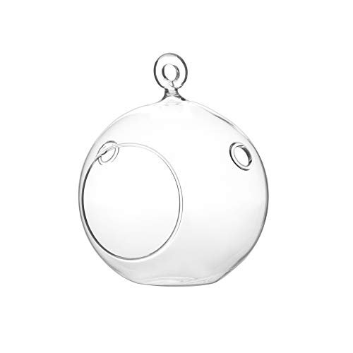 WGV Hanging Terrarium Globe, Width 4