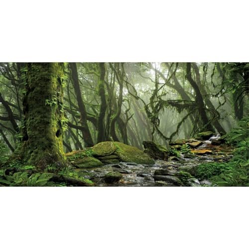 AWERT Foggy Forest Terrarium Background Stream Green Tree...