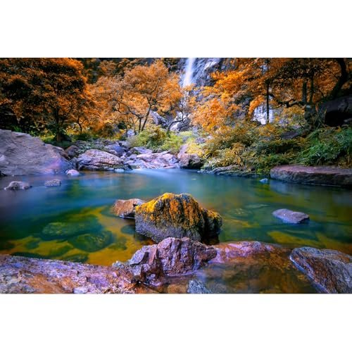 Waterfall Aquarium Background Autumn Jungle Forest Lake...