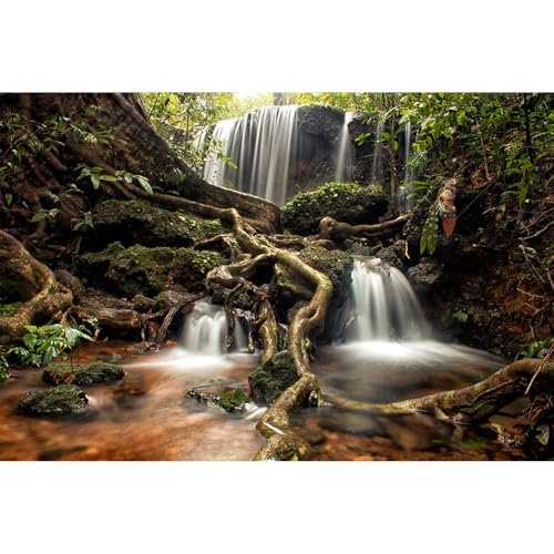 Waterfall Aquarium Background Jungle Forest Lake Stream...