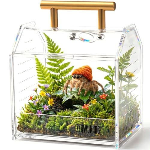 Jumping Spider Enclosure - Acrylic Terrarium Habitat with...