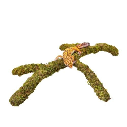 Jinymral Leopard Gecko Tank Accessories, Adjustable...