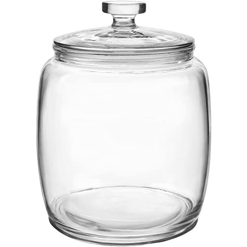 Daitouge 2.5 Gallon Glass Jars with Lids, for Kitchen...