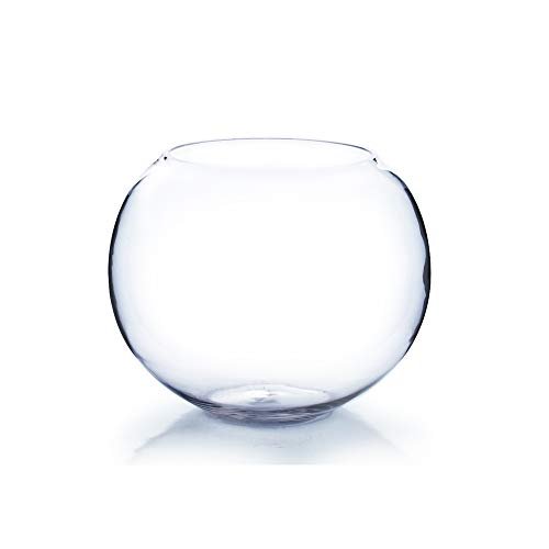 WGV Large Bowl Glass Vase, Diameter 12
