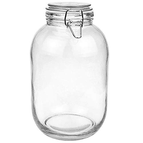Folinstall Gallon Glass Jar with Airtight Lid for Food...