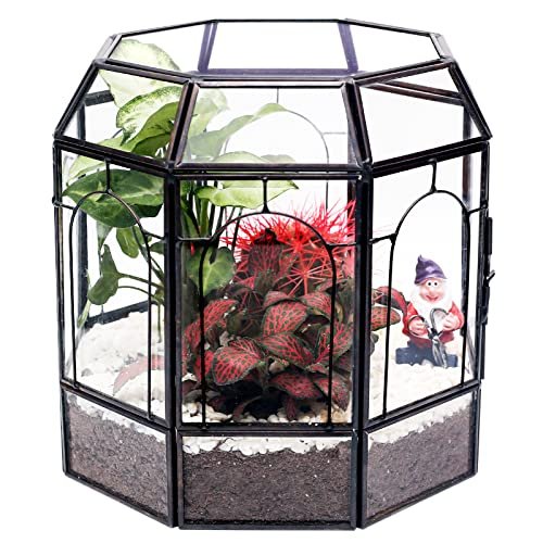 REDHUGO Large Glass Terrarium Handmade, Centerpiece Display...