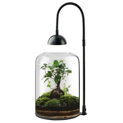 Xyingshine Glass Plant Terrarium with LED Grow Light