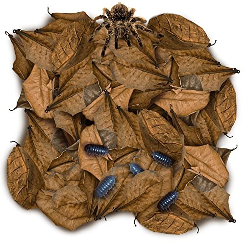 SunGrow 50 Pack Leaf Litter for Spider, Cricket & Isopod