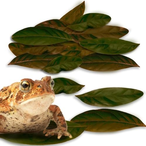 JOR Mahogany Leaves, Vivarium Leaf Litter for Bioactive...