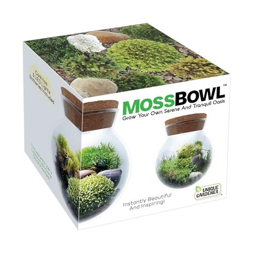 Create Your Serene Moss Sanctuary with The Unique Gardener...