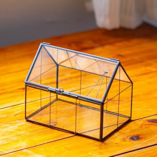 NCYP Mini Glass Terrarium with Lid - House Shape Planter