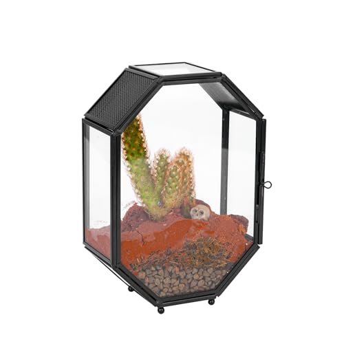 NCYP Mini Vented Glass Terrarium with Vent for Jumping...