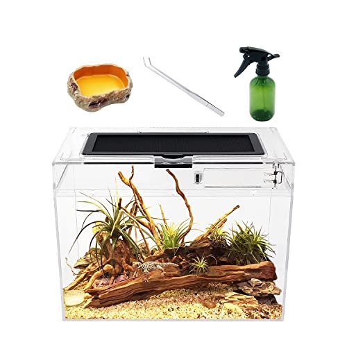 Reptile Growth Mini Reptile Terrarium,12