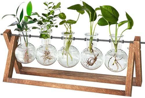 CFMOUR Plant Terrarium with Wooden Stand, Desktop...