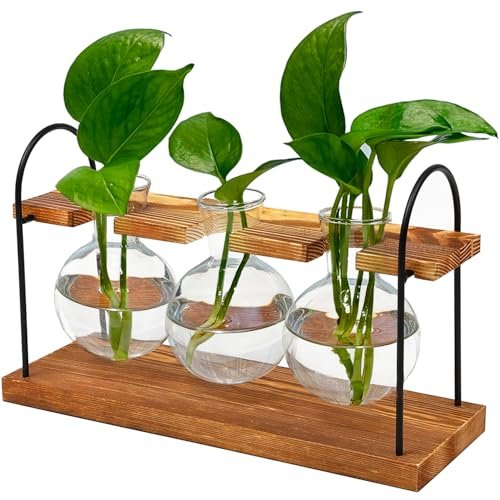 Plant Terrarium with Wooden Stand, The Ultimate Propagation...