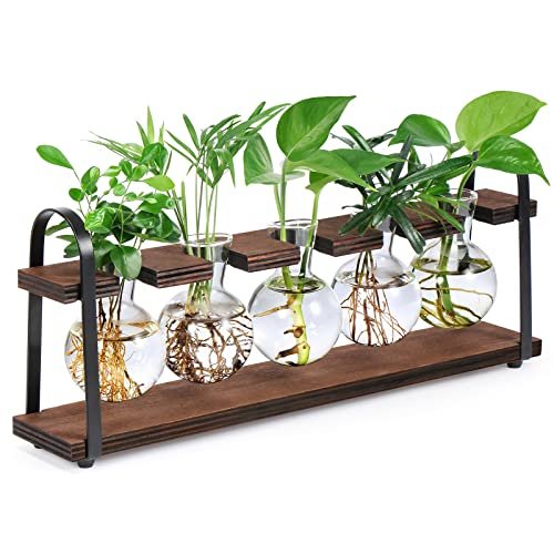 THYGIFTREE Plant Propagation Stations with Wooden Stand,...