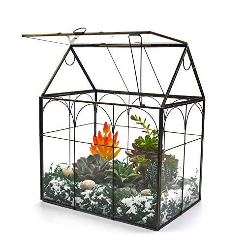 Large Tall Plant Greenhouse Terrarium Glass with Lid...