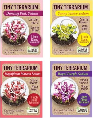Unique Gardener Tiny Terrarium Plant Seeds 4 Sedum Variety...